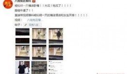 热点爆料官方 爆料还是曝料,揭秘“爆料”与“曝料”的奥秘